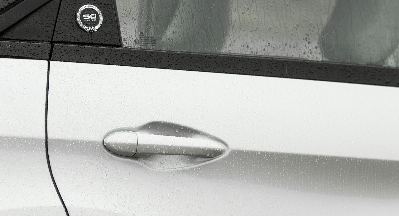 Rear Door Handle